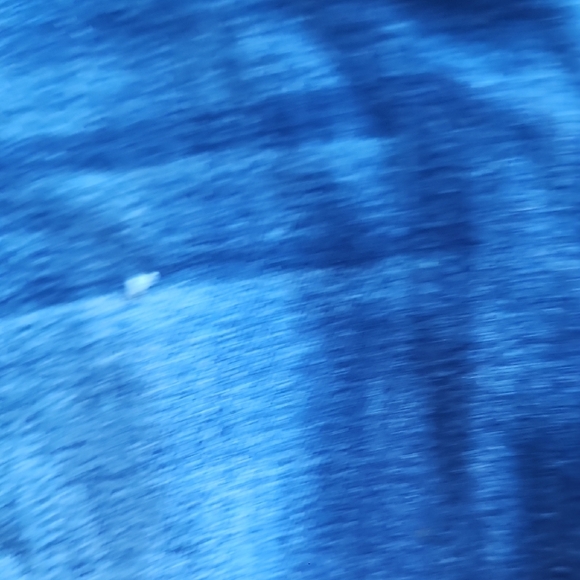 KanCan Dark Blue Distressed Skinny Jeans - Picture 5 of 11